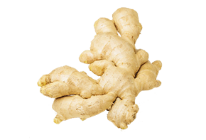 Կոճապղպեղի արմատներ