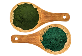Քլորելլայի և սպիրուլինայի կոնցենտրատներ